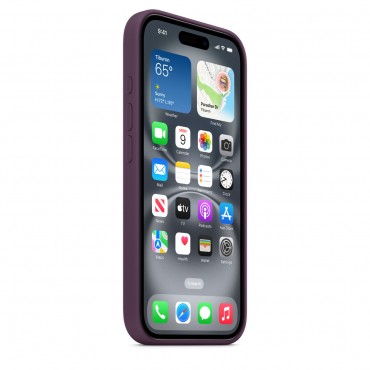 ip16 Case-Dark Plum