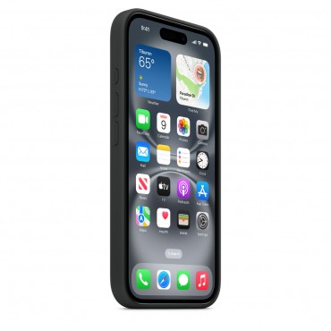 ip16 Case-black